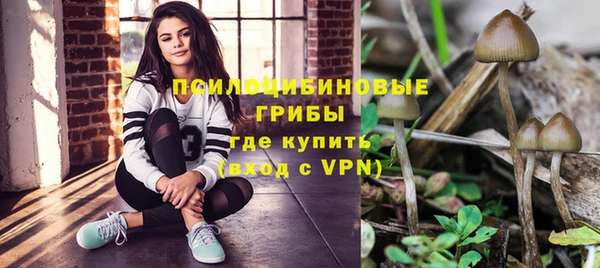 ПСИЛОЦИБИНОВЫЕ ГРИБЫ Хадыженск