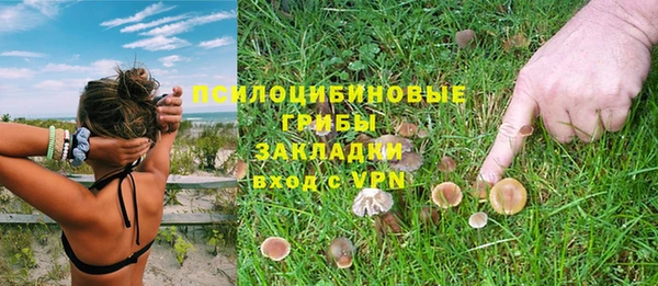 мдпв Переславль-Залесский