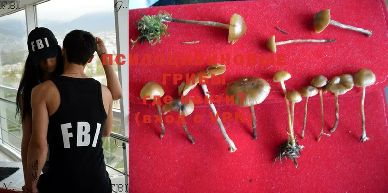 Псилоцибиновые грибы Psilocybine cubensis  мега ссылка  Тавда 