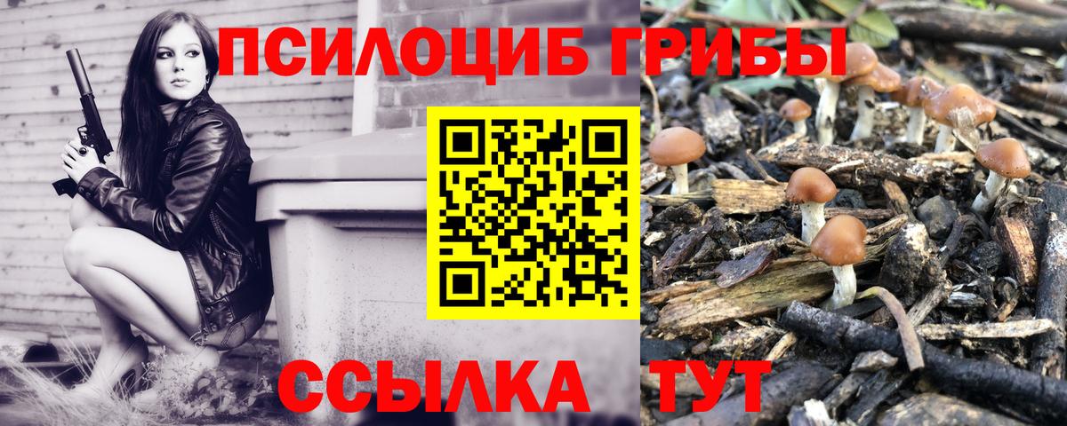 Галлюциногенные грибы ЛСД  Тавда  Псилоцибиновые грибы Psilocybe 