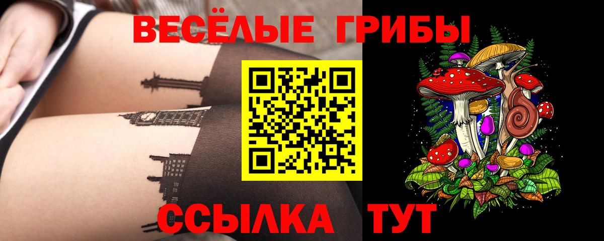 Галлюциногенные грибы GOLDEN TEACHER Тавда