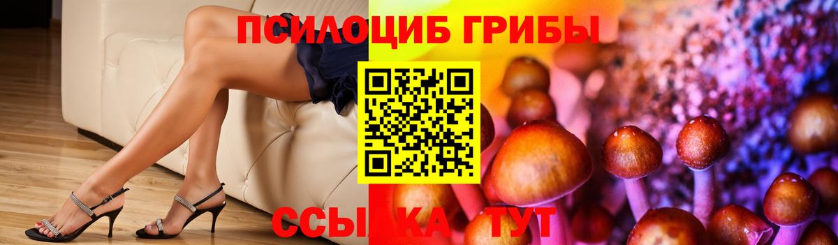Тавда  наркотики  Вход с VPN  Псилоцибиновые грибы Psilocybine cubensis 