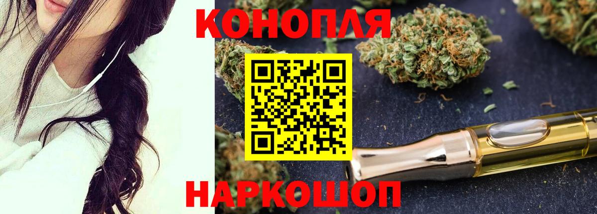 Бошки марихуана план  Бошки Шишки индика  Вход с VPN  Тавда 
